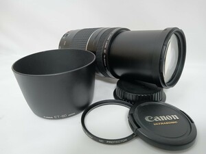 Canon キャノン ZOOM LENS EF 75-300mm 1:4-5.6 III USM　F19