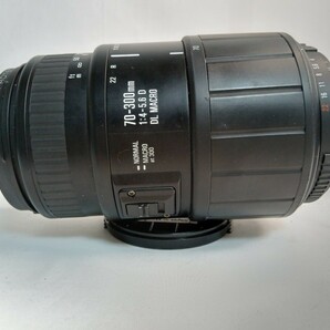 SIGMA シグマ70-300mm f4-5.6D DL MACRO + UC Zoom 28-70mm f/2.8-4 レンズ二本セット T20の画像7