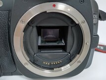Canon キャノン EOS 30D EF 28-105mm f/3.5-4.5 一眼レフ デジタルカメラ　F22_画像2