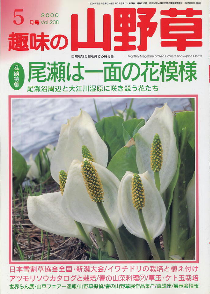 2024年最新】Yahoo!オークション -アツモリソウの中古品・新品・未使用品一覧