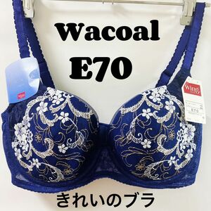 E70 ワコール　ブラジャー　きれいのブラ,贅沢スリム