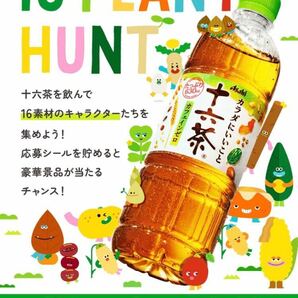 アサヒ 十六茶「16PLANT HUNT キャンペーン」応募シール１６０枚の画像2