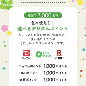 アサヒ 十六茶「16PLANT HUNT キャンペーン」応募シール１６０枚の画像3