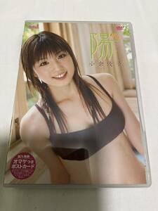 小倉優子　DVD 陽