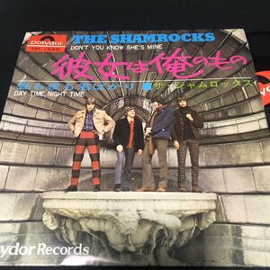 シャムロックス　彼女は俺のもの　レア　貴重盤　国内盤シングル EP 7インチ　THE SHAMROCKS