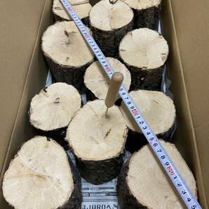 椎茸ホダ木（７年物）産卵木、止まり木b１１本Ａ材の画像1