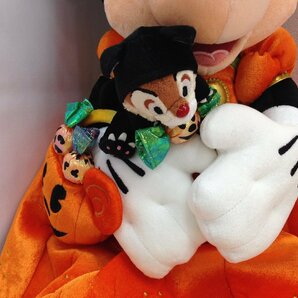 ◇ディズニー TDR ミニーマウス ぬいぐるみ ハロウィン2005チップとデール 3X29 【80】の画像2