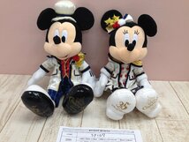 ◇ディズニー TDR ミッキー ミニー ぬいぐるみ 2点 クリスマス2018 35周年 3P107 【80】_画像6