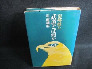 武道とは何か武道網要　南郷継正　カバー破れ有書込落書ラインシミ日焼け有/UEK