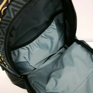 NIKE ナイキ GIANNIS ヤニス リュック バックパック バッグ バック 鞄 FREAK DQ5241 ブラック×ゴールド 29Lの画像8