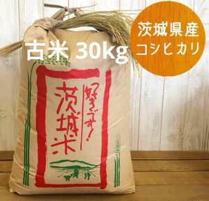 コシヒカリ 30kg 茨城県産 古米（令和4年）玄米
