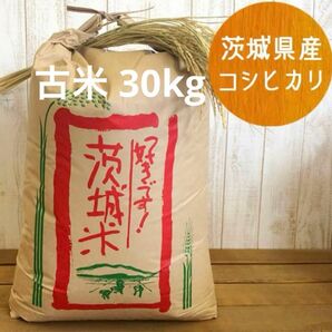 コシヒカリ 30kg 茨城県産 古米（令和4年）玄米