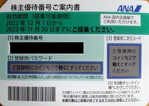 ANA株主優待券 2枚セット 2024年5月31日まで④