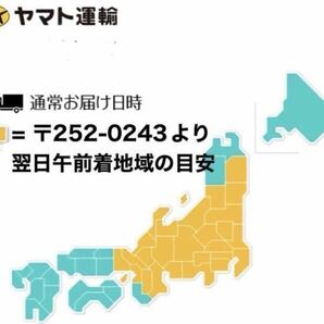 【 火水金土日のみ発送】 300匹 ドバミミズ 天然 ミミズ エサ 生き餌 釣り餌 小サイズの画像2