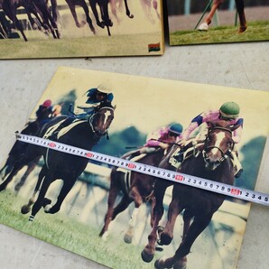  競馬写真パネル3個セット名馬【120サイズ】の画像4