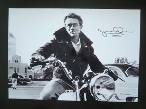 A4 額付き ポスター ジェームズディーン James Dean バイク トライアンフ 写真 サイン フォトフレーム 額装済み