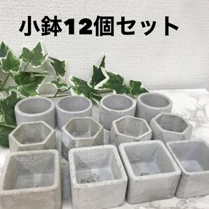 オシャレセメント植木鉢12個セット　多肉寄せ植え　小鉢