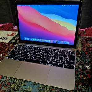 MacBook (Retina, 12-inch, Early 2015) GR