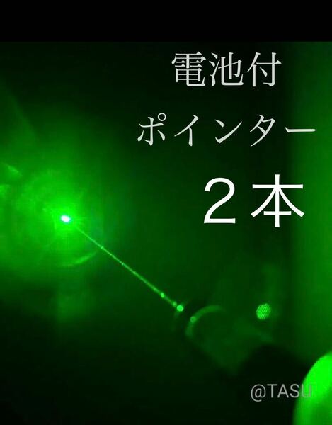 【電池付き】LEDライト　ポインタ　緑　２本 強力　カラス駆除　グリーン 