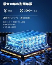 【ジャンク品扱い】ポータブル電源 リン酸鉄 1000W 大容量 ポータブルバッテリー アウトドア 家庭用 蓄電池 AC1000W アルミ合金_画像8