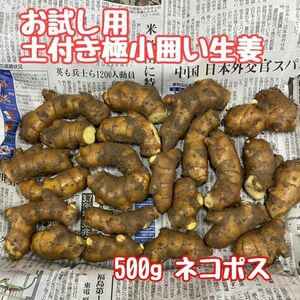 お試し用 極小サイズ土付き囲い生姜500g