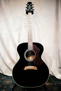 ♪TAKAMINE TOP010 BL タカミネ エレクトリックアコーステックギター エレアコ ☆D 0425