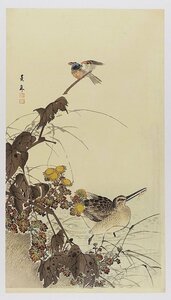 Art hand Auction 景年木版画 水鳥 今尾景年, 絵画, 浮世絵, 版画, 歌舞伎絵, 役者絵