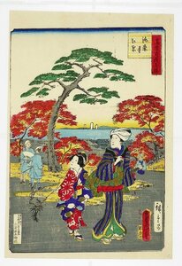 Art hand Auction Tokios stolzer Aussichtspunkt: Herbstlaub am Kaikoji-Tempel, gemeinsames Gemälde von Kio Hiroshige II und Toyokuni III, Malerei, Ukiyo-e, drucken, Kabuki-Bild, Schauspielerbild