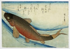 Art hand Auction 물고기 잉어가 가득한 히로시게 히로시게의 첫 번째 그림, 그림, 우키요에, 인쇄, 가부키 그림, 배우 사진