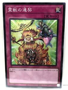 N3-02256 【未使用】 TW01-JP143 霊獣の連契 SR スーパーレア 遊戯王 TERMINAL WORLD