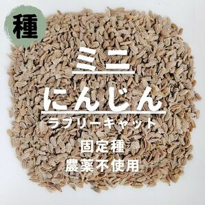 【種】ミニにんじん　ラブリーキャロット　無農薬　200粒