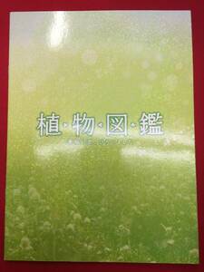 10839『植物図鑑　運命の恋、ひろいました』プレス　三木康一郎　岩田剛典　高畑充希　阿部丈二　今井華　谷澤恵里香　竹内寿