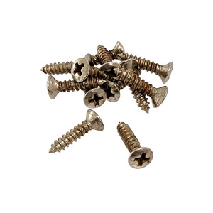 YJB PARTS Relic Screws レリックネジ (インチ)Fタイプピックガード用 12本入り (メール便対応)