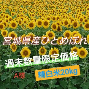 令和5年度 精白米20kg！【宮城県産ひとめぼれ】特別栽培 環境保全米