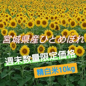 令和5年 精米10kg【宮城県産ひとめぼれ】