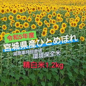 令和5年度 精白米1.2kg！宮城県産ひとめぼれ【特別栽培環境保全米】