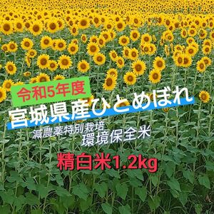 【精白米1.2kg】令和5年宮城県産ひとめぼれ『環境保全米』