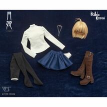 ボークス DD アルクェイド・ブリュンスタッド デフォルト衣装 ウィッグ 月姫 Volks Dollfie Dream ドルフィードリーム DDdy DDS SD MDD DDH_画像2