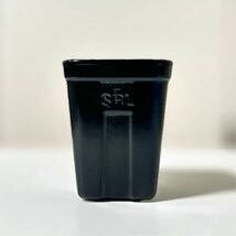 【新品】 SRL SQUARE POT スクエア セラミック ポットSRL. SQUARE SMALL/ CE-POT 鉢 _画像1