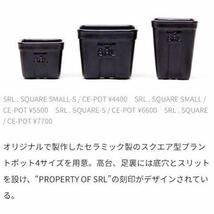 【新品】 SRL SQUARE POT スクエア セラミック ポットSRL. SQUARE SMALL/ CE-POT 鉢 _画像4