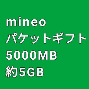 即決 再発行可 匿名取引 約5GB 5000MB mineo パケットギフトコード 送料無料 マイネオ