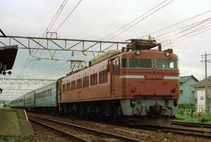 ♪　EF81 111＋10系　KG写真 ♪　