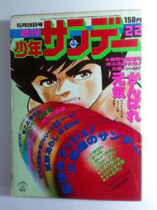 週刊少年サンデー 1977 5月29日 22号 がんばれ元気 矢口高雄/小山ゆう/さいとうたかを/楳図かずお/水島新司/村上もとか/桑田次郎