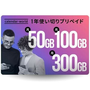 CALENDAR 大容量1年プリペイドSIMプラン 楽天回線 100GB/月プラン