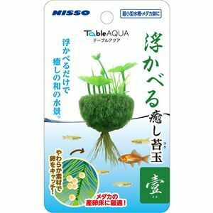 【新品】（まとめ）テーブルアクア 浮かべる癒し苔玉 壹（イチ）【×3セット】 (観賞魚/水槽用品)