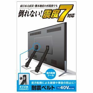 【新品】エレコム TV用耐震ベルト／～40V用／ネジどめタイプ（VESA穴）／2本入 TS-005N