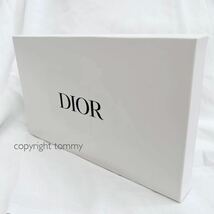 新品未使用 ディオール Dior ストローポーチ クラッチバッグ ポーチ かごバッグ ロゴ ブランド 夏 ラタン_画像9