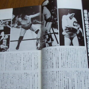 全日本プロレス '79 SUPER-POWER SERIES 1979 スーパーパワー・シリーズ パンフレット 昭和54年 さよなら!!デストロイヤーの画像4