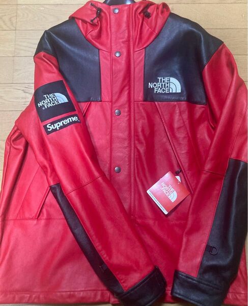 Supreme The North Face シュプリーム　ノースフェイス　レザーマウンテンパーカー　サイズM 新品タグ付き