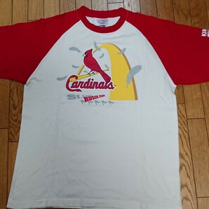【MLB 】カージナルス Tシャツ Ｌサイズ コットン100の画像1